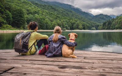 ¡Lanzamos una Encuesta Pionera para Conectar Mejor con los Viajeros y sus Mascotas! Participa y Ayuda a Moldear el Futuro del Turismo de las Familias con Mascota